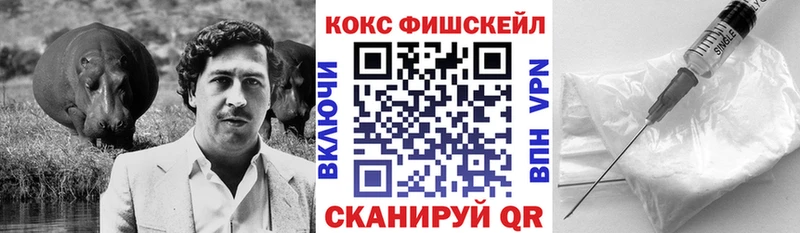 Купить где  Советская Гавань  Кокаин Fish Scale 
