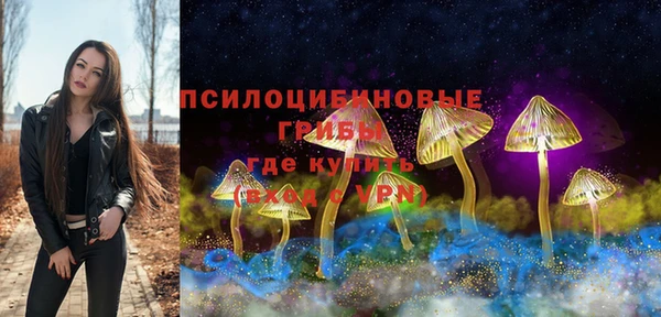 мет Гусев